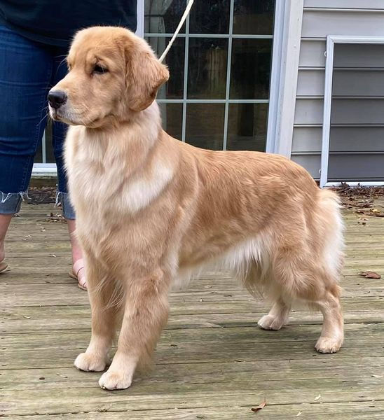 Zany at 13 months