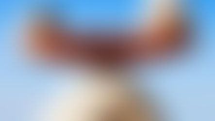 Ethics and Your Business