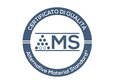 Logo AMS def su A4 2.jpeg