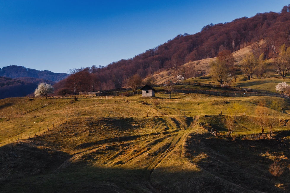 274296464_5020860021339028_1831490549496850416_n