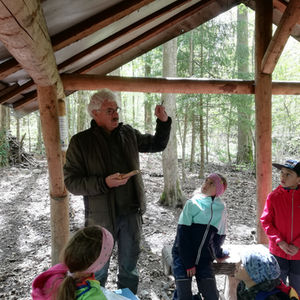 Waldnachmittag mit Peter Lienert