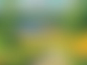 Söndagsläsningen: Jobbrevolutionen i Norr – En Grön Framtidsvision. Rusta och matcha kan hjälpa dig komma närmare jobben i norr!