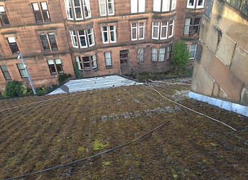 Roofing, guttering and drainage services in Glasgow