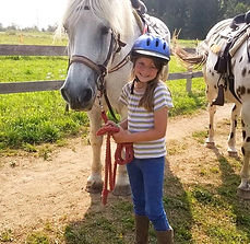 horse camp at the horse stables with a white horse