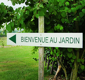 Capture d’écran 2019-02-11 à 22.18.08.pn