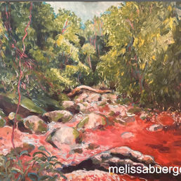 Fluss im Wald Brasilien