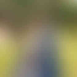 Couple hanbok photoshoot