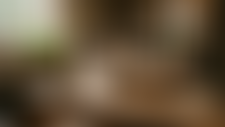 ai image of cat on table looks like hat