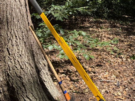 Woodland Conservation Group - Fridays