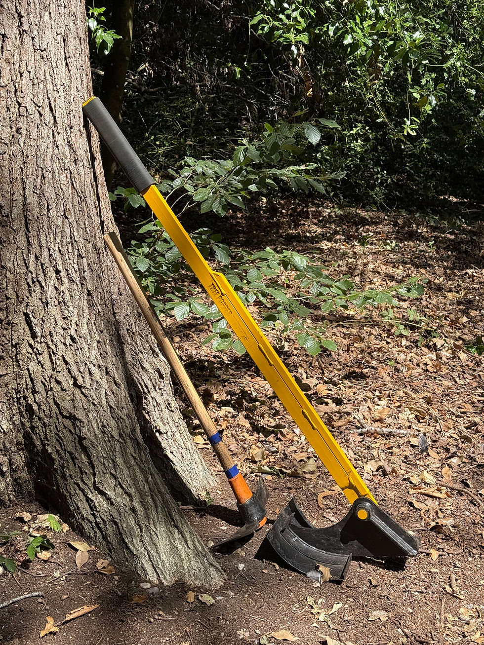 Woodland Conservation Group - Fridays