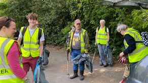 Litter Picking