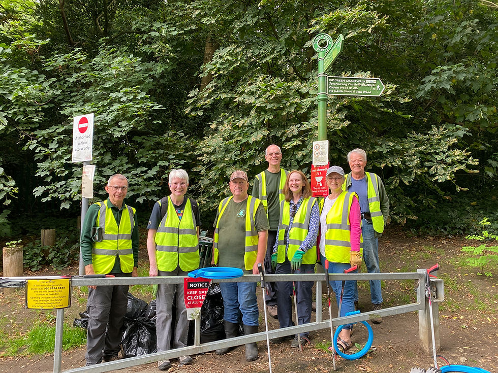 Our Litter Picking team play an essential part in protecting the woodlands. Can you help?