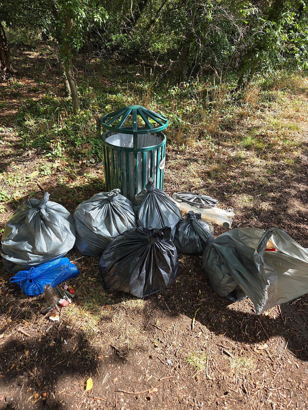 More of the rubbish.