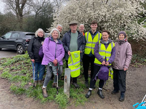 Litter Picking
