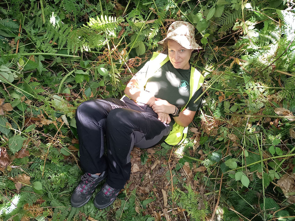 Our waste pile of bracken made a surprisingly comfortable nest.