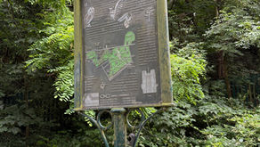 Woodland Signage Clean-Up 2