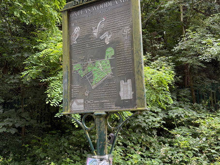 Woodland Signage Clean-Up 2
