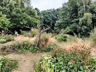 Most plants are coping with the very hot, dry weather.