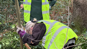 Nothing is wasted - making holly posts