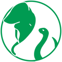 Green Elephant Logo - Verbindung von Kraft und Wandlung