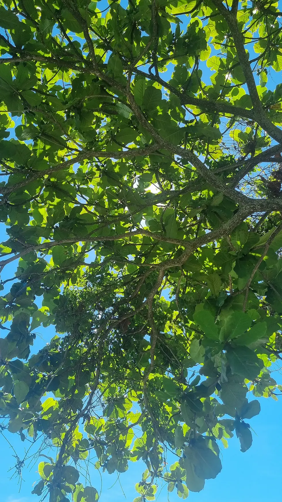 Direção e uma nova rota