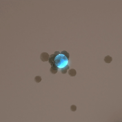 ionization_400x_bf912ab8-fae5-4c7a-9fbe-