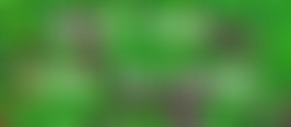 April News from the Ridge!