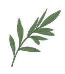colored leaf 2.png