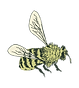 colored bee.png