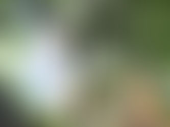 Ajatonta ajattomuutta Panu Pahkamaan neulanreikäkamerakuvissa Riihisaaren näyttelyssä Savonlinnan vanhimmalla kadulla