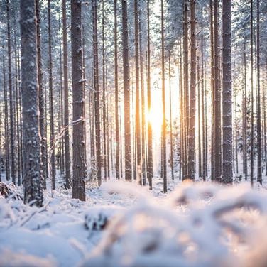 Omistajastrategiatyö käynnistyy