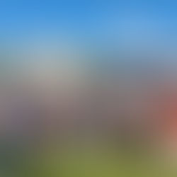 Savonlinnan musiikki- ja tanssiopisto hakee uusia oppilaita