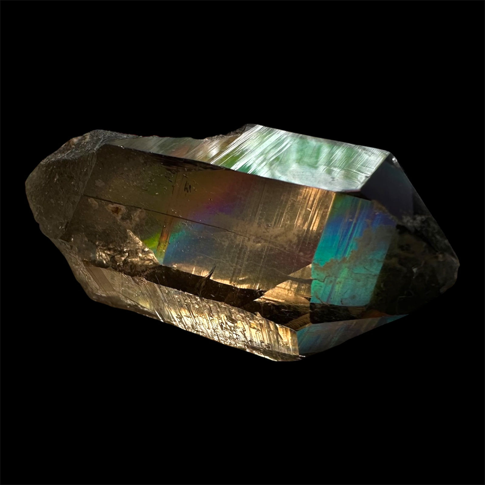 ࿇ the fragments of switzerland collection ࿇