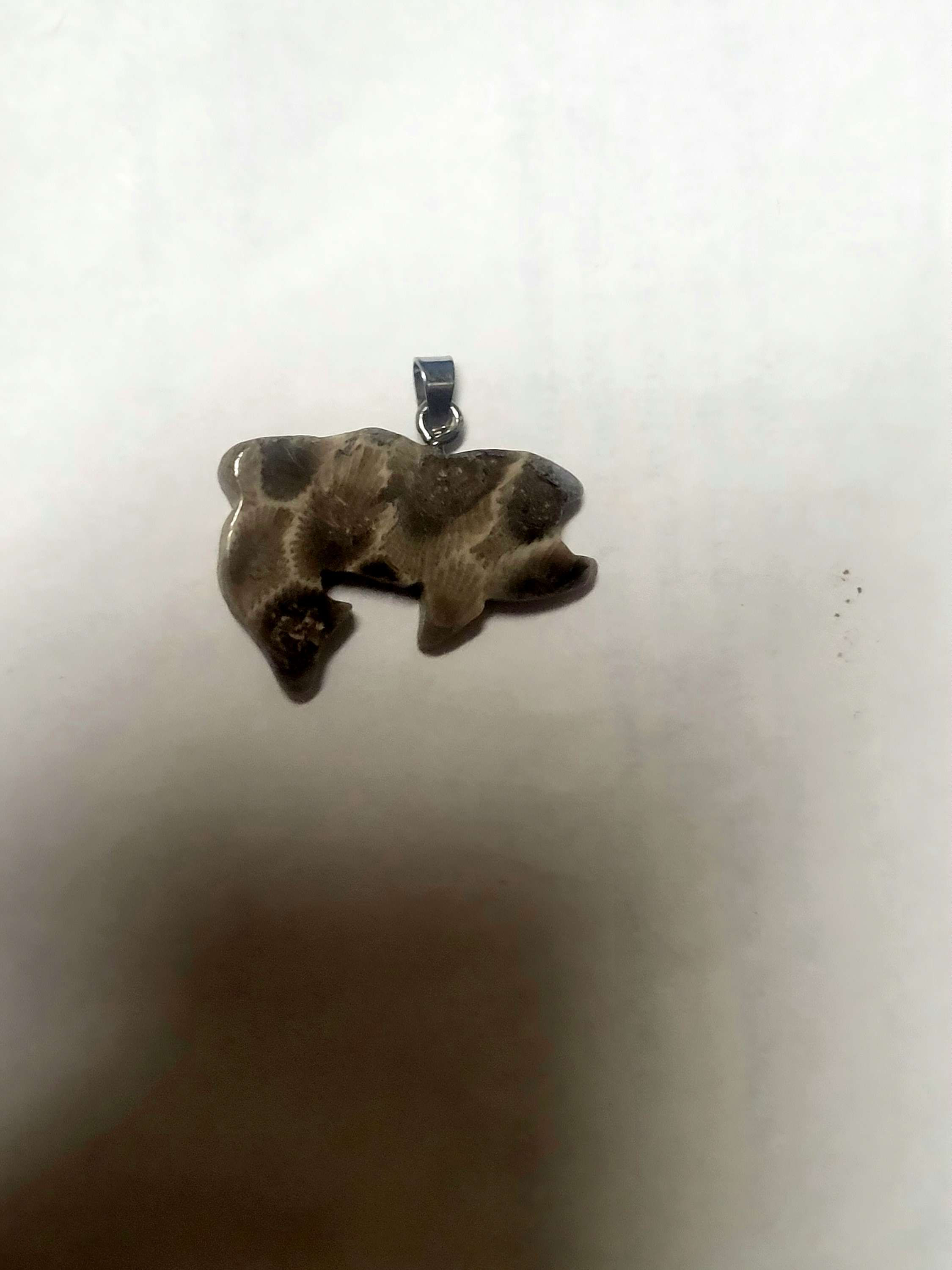 Bass petoskey pendant