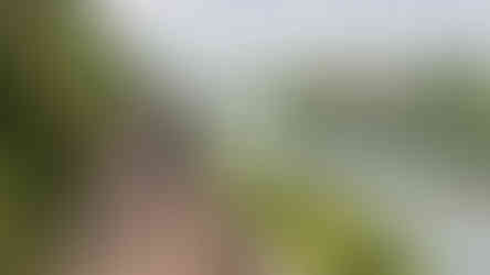 גבר עומד על מסילת המוות בקנצ'נבורי, ליד נהר