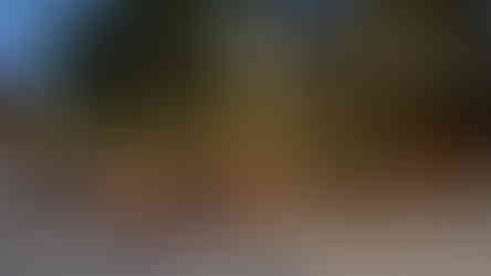 מסעדה חוף תוססת בקו טאו עם אורות בערב