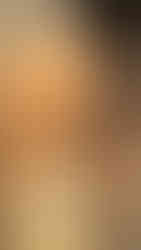 שקיעה בחופי קו טאו דרך ענף עץ