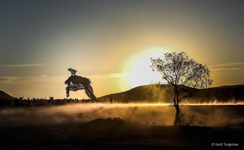 פסל סוס תיל קופץ על רקע שקיעה מרהיבה עם עץ, ערפל ועשב