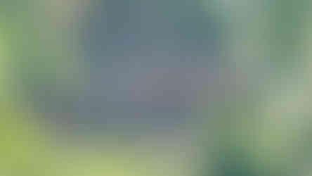 רכבת במסילת המוות בקנצ'נבורי, על גשר עץ