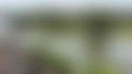 נהר קוואי בקנצ'נבורי עם גדות ירוקות וגשר עץ