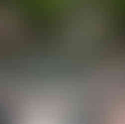 מדרגות בטון עולות ביער בקו טאו