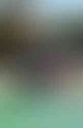 סירה צבעונית בים מול בתי הארחה בקו טאו