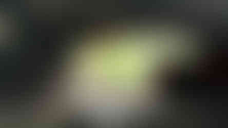 מבט מתוך מערה עם אנשים ונוף ירוק מחוץ לפתח