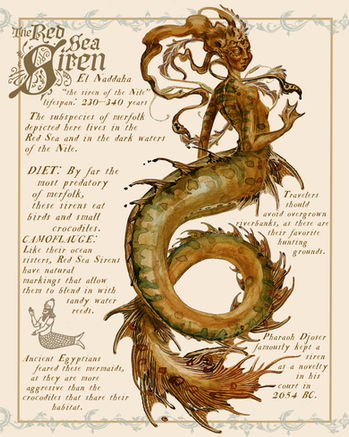 redseamermaid.jpg