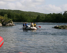 IMG_5609.jpg