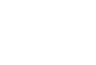 AMAZONIA CONCEPT - LOGO - WHITE-01.png