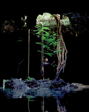 Sac Actun Arbol 1.jpg