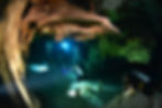 Tulum Diving Cenotes