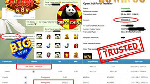 PANDA RM4000