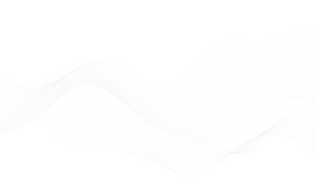 LIGNE blanche sans fond